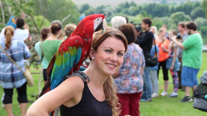 Chovatelé papoušků vyzývají senátory: změňte novelu zákona proti týrání zvířat, neděláme nic špatného! Chovatelé papoušků vyzývají senátory: změňte novelu zákona proti týrání zvířat, neděláme nic špatného!