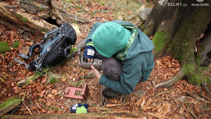 Poslední letošní příležitost zapojit se do Rysích a Vlčích hlídek: online školení Poslední letošní příležitost zapojit se do Rysích a Vlčích hlídek: online školení