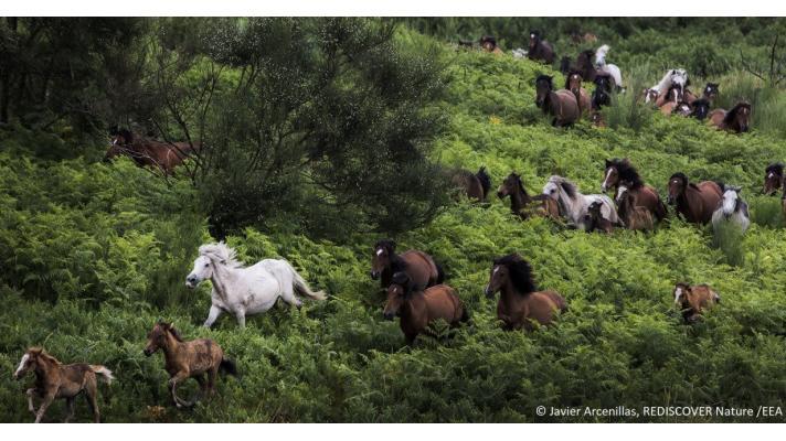 Vyhlášení vítězů fotosoutěže Evropské agentury pro životní prostředí Vyhlášení vítězů fotosoutěže Evropské agentury pro životní prostředí