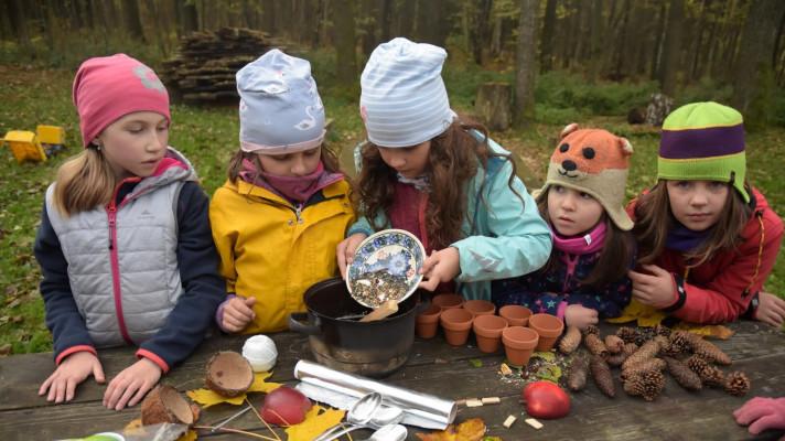Základní školy budou opět sčítat ptáky na krmítkách, k dispozici mají nový výukový program Základní školy budou opět sčítat ptáky na krmítkách, k dispozici mají nový výukový program