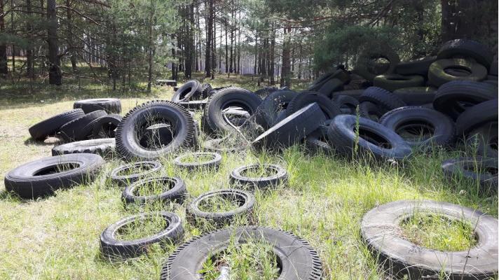Pneumatik pohozených v přírodě ubývá. I tak jich letos dobrovolníci z Ukliďme svět, ukliďme Česko našli bezmála 8 tun Pneumatik pohozených v přírodě ubývá. I tak jich letos dobrovolníci z Ukliďme svět, ukliďme Česko našli bezmála 8 tun