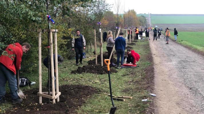 Nová alej spojila Šatov na Znojemsku s Rakouskem Nová alej spojila Šatov na Znojemsku s Rakouskem