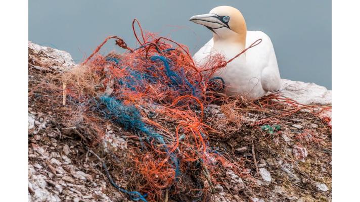 Na dně Středozemního moře leží přes milion tun plastového odpadu Na dně Středozemního moře leží přes milion tun plastového odpadu