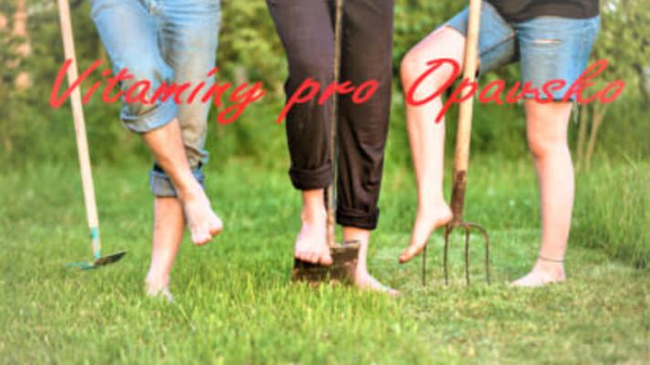 MAS Opavsko: Vitamíny pro Opavsko - soběstačnost v pěstování ovoce a zeleniny MAS Opavsko: Vitamíny pro Opavsko - soběstačnost v pěstování ovoce a zeleniny