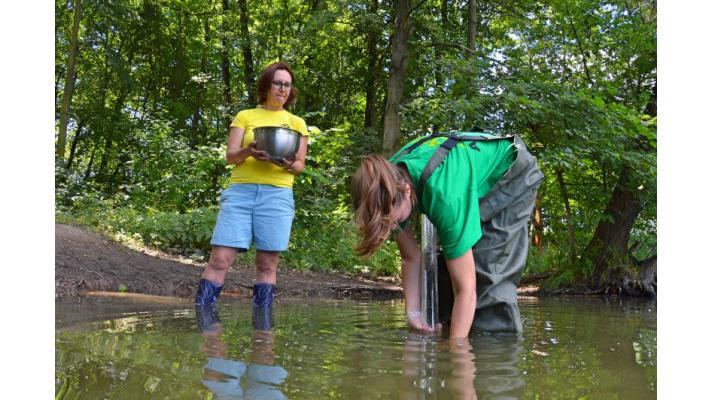 Studie Arniky: znečištění toxickými látkami v pražských vodách je všudypřítomné Studie Arniky: znečištění toxickými látkami v pražských vodách je všudypřítomné