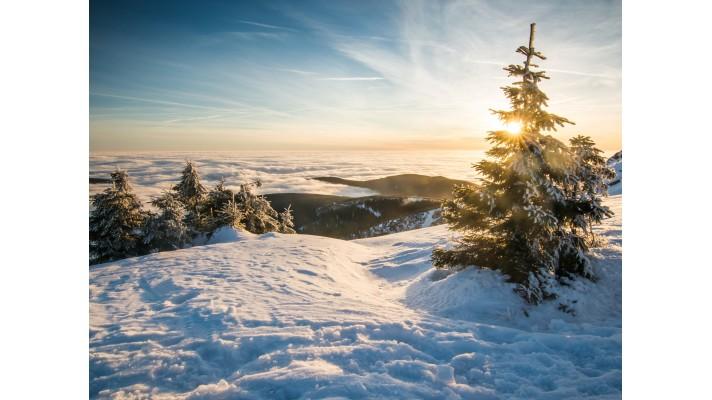 Poslední číslo Věstníku MŽP tohoto roku právě vychází Poslední číslo Věstníku MŽP tohoto roku právě vychází