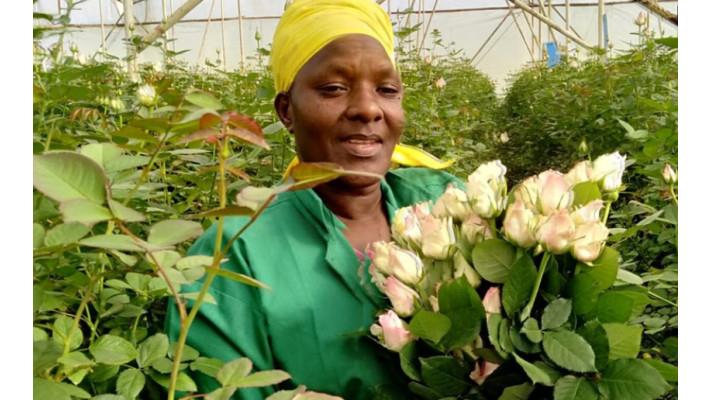 Skryté trny valentýnských dárků Skryté trny valentýnských dárků