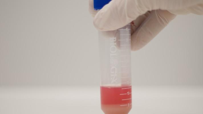 Umělé maso - výzkumy a společnost Umělé maso - výzkumy a společnost