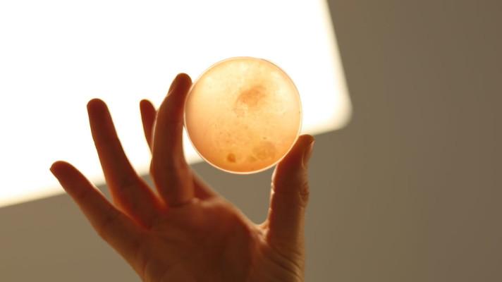 České Bene Meat Technologies vyvíjí technologii výroby kultivovaného masa České Bene Meat Technologies vyvíjí technologii výroby kultivovaného masa