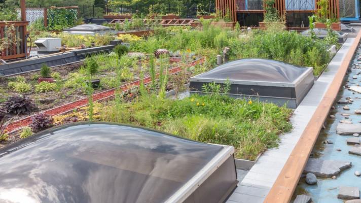 10 milionů na klimatické strategie obcí 10 milionů na klimatické strategie obcí