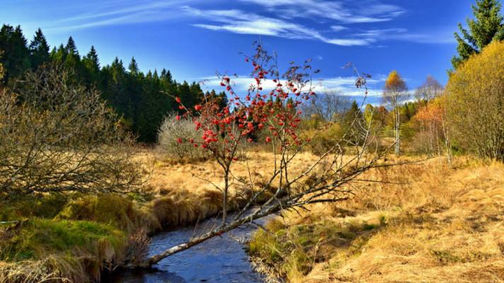 Na prohlubující se změnu klimatu reaguje Státní politika životního prostředí ČR 2021-2030 Na prohlubující se změnu klimatu reaguje Státní politika životního prostředí ČR 2021-2030