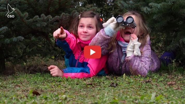 Česko bude sčítat ptáky na krmítku. Pohodlně a bezpečně z domova Česko bude sčítat ptáky na krmítku. Pohodlně a bezpečně z domova