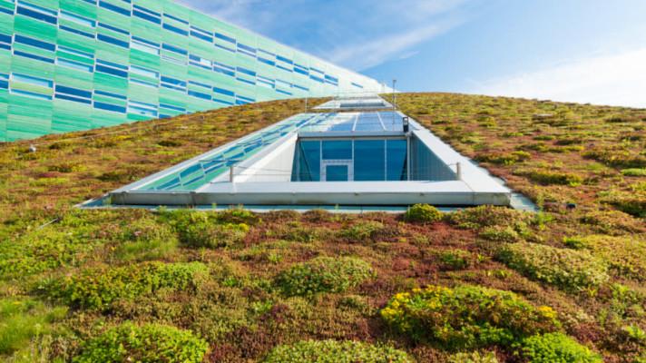 TZ MŽP a SFŽP ČR: MŽP chystá na výstavbu zelených střech miliardy korun TZ MŽP a SFŽP ČR: MŽP chystá na výstavbu zelených střech miliardy korun