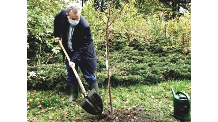 Ministr Brabec: Přidáváme 100 milionů korun na výsadbu stromů ve městech a obcích Ministr Brabec: Přidáváme 100 milionů korun na výsadbu stromů ve městech a obcích