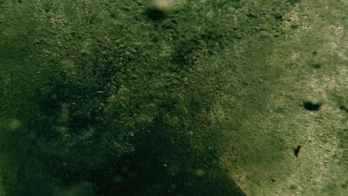 How Biofouling Impacts Vessel Efficiency - And How to Fix It How Biofouling Impacts Vessel Efficiency - And How to Fix It