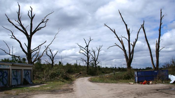 Obnovíme stromy zničené tornádem, slíbili partneři iniciativy Sázíme budoucnost Obnovíme stromy zničené tornádem, slíbili partneři iniciativy Sázíme budoucnost