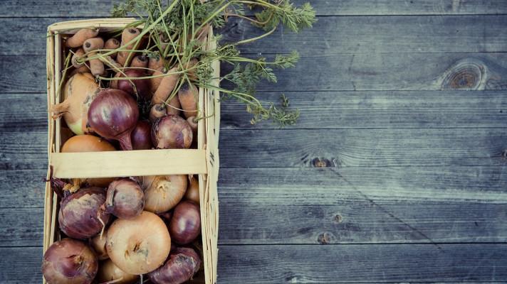 Ministr zemědělství Marian Jurečka: Pravidelné kontroly ekologických farem i podniků považujeme za nezbytné Ministr zemědělství Marian Jurečka: Pravidelné kontroly ekologických farem i podniků považujeme za nezbytné