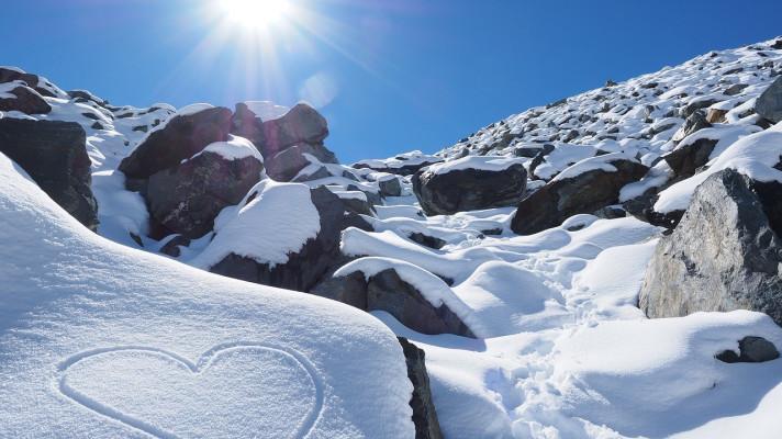 Brontosaurus pošle v létě dobrovolníky do 7 zemí světa. Opravovat hrady, kosit louky nebo značit ukrajinské stezky Brontosaurus pošle v létě dobrovolníky do 7 zemí světa. Opravovat hrady, kosit louky nebo značit ukrajinské stezky