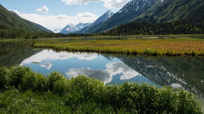 Senát USA neochránil aljašskou rezervaci před těžbou ropy