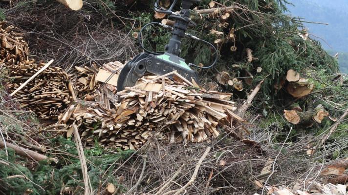 LITVA: Obnovitelná energie z dřevní biomasy