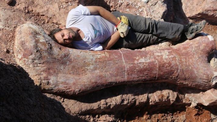 Dinosauří kost nalezená před 14 lety v ČR patřila neznámému druhu