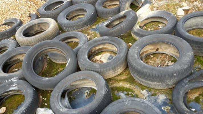 Inspektoři uložili milionovou pokutu společnosti Purum za ukládání nepovolených odpadů na skládku v Osečné
