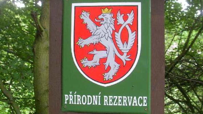 Na pražském Černém Mostě vznikne nový park Divočina Na pražském Černém Mostě vznikne nový park Divočina