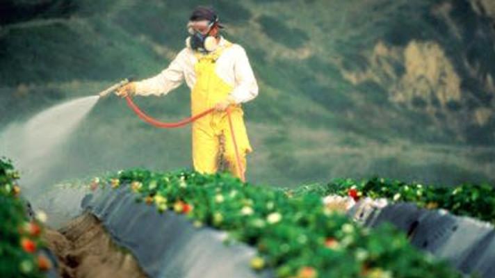 Kauza Monsanto Papers podrývá důvěryhodnost evropských agentur