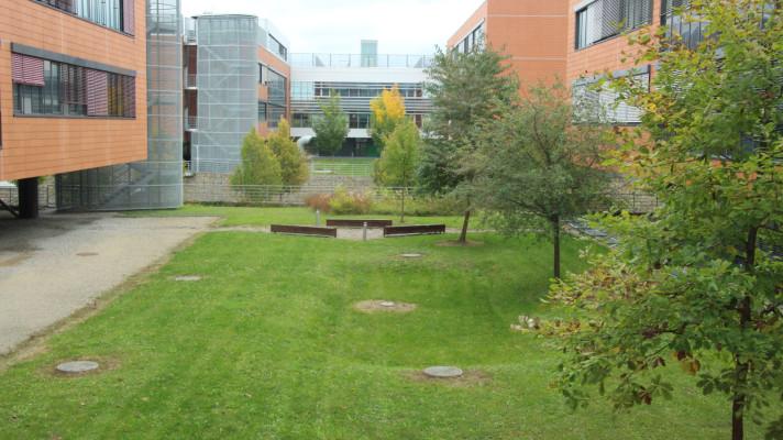 Hospodaření s dešťovou vodou z pohledu krajinářské architektury Hospodaření s dešťovou vodou z pohledu krajinářské architektury