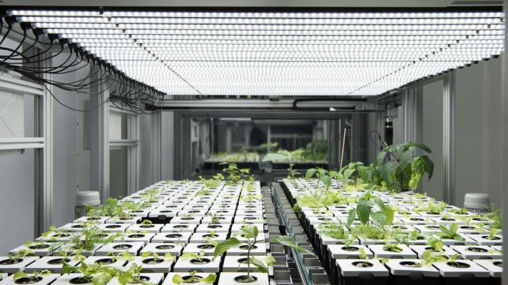 Atos spustil první projekt digitální vertikální městské farmy na světě