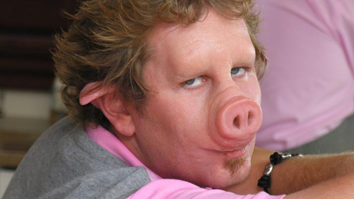 Hlášeny první případy přenosu prasečího moru na člověka Hlášeny první případy přenosu prasečího moru na člověka