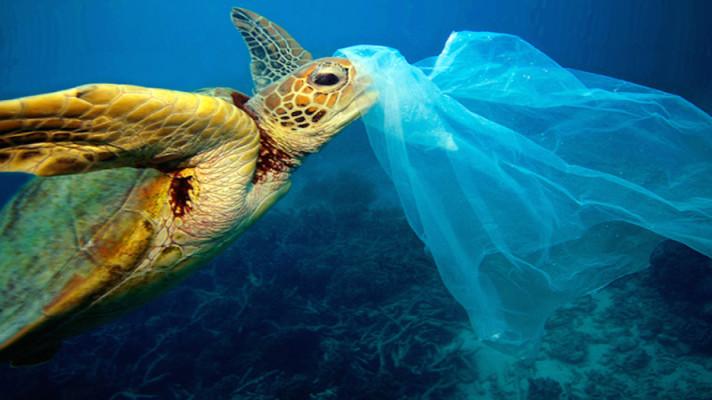 5 SIMPLE STEPS TO REDUCE PLASTIC POLLUTION IN 2018
