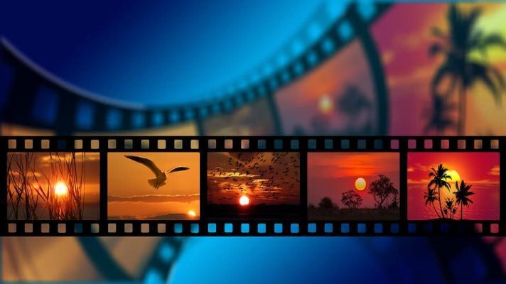 Festival ekologických filmů T-Film letos nabídne 50 snímků