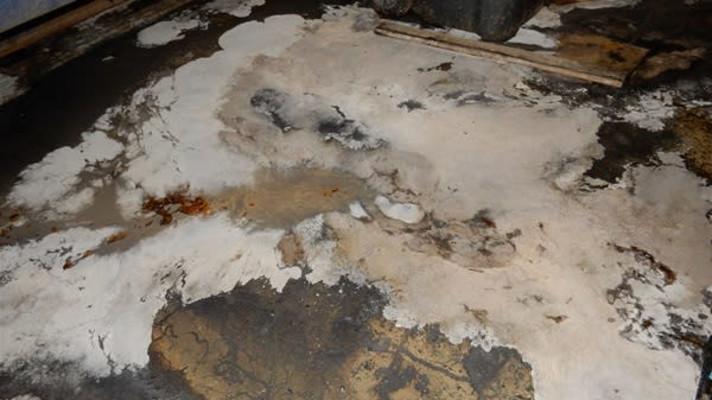 Inspektoři uložili potravinářskému řetězci AHOLD dvě pokuty za celkem 260 tisíc korun za netřídění odpadů Inspektoři uložili potravinářskému řetězci AHOLD dvě pokuty za celkem 260 tisíc korun za netřídění odpadů