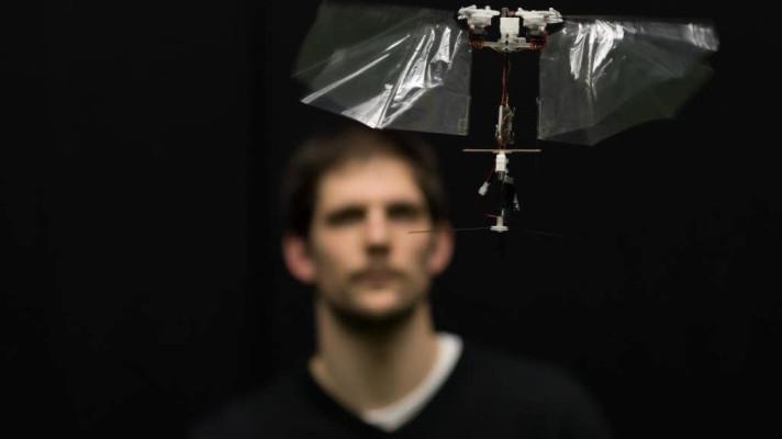 Český vědec sestrojil hmyzího robota, který umí mávat křídly