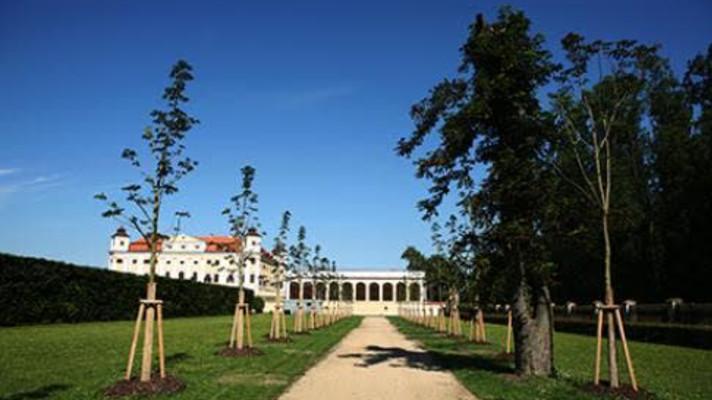 MŽP vyhlásilo výzvu na zpracování studií systémů sídelní zeleně s následnou realizací. Obce si mohou rozdělit 119 milionů korun MŽP vyhlásilo výzvu na zpracování studií systémů sídelní zeleně s následnou realizací. Obce si mohou rozdělit 119 milionů korun