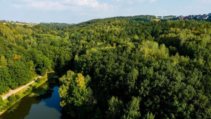 Změna územního plánu rozhodne o údolí Rudolfovského potoka Změna územního plánu rozhodne o údolí Rudolfovského potoka