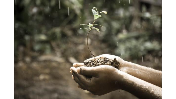 SFŽP ČR pořádá semináře pro zájemce o využití srážkové vody a Norské fondy SFŽP ČR pořádá semináře pro zájemce o využití srážkové vody a Norské fondy