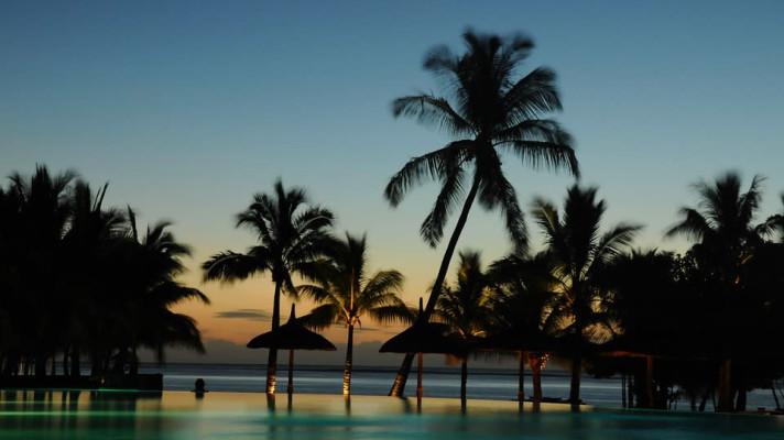 Na Mauriciu využívají cukrovou třtinu k výrobě elektřiny Na Mauriciu využívají cukrovou třtinu k výrobě elektřiny