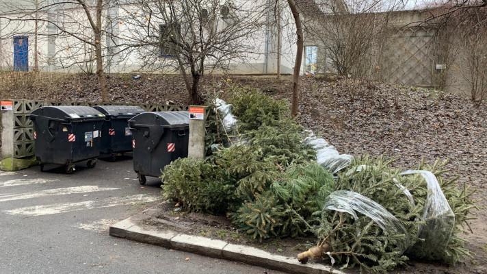 Nevyhazujte vánoční stromky do popelnic, prosí Pražské služby Pražany