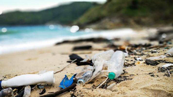 Tropický ráj je zavalený sandály, plasty jsou i pod povrchem Tropický ráj je zavalený sandály, plasty jsou i pod povrchem