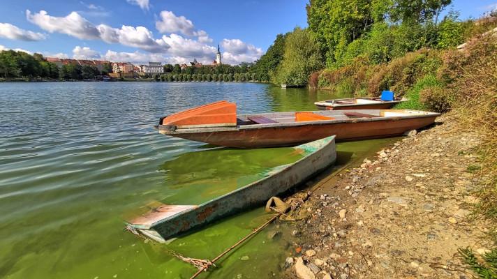 Českobudějovičtí vědci chystají průzkum rybí obsádky v táborském Jordánu. Jejich práce má zlepšit kvalitu vody Českobudějovičtí vědci chystají průzkum rybí obsádky v táborském Jordánu. Jejich práce má zlepšit kvalitu vody