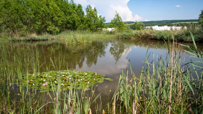 Voda základ života. Řeka Nivnička s tím počítá Voda základ života. Řeka Nivnička s tím počítá