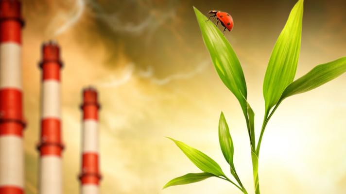 Uhelná komise schválila předsedy pracovních skupin a zadala první úkoly Uhelná komise schválila předsedy pracovních skupin a zadala první úkoly