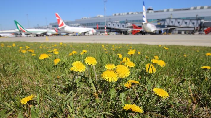 Letiště Praha směřuje k uhlíkové neutralitě
