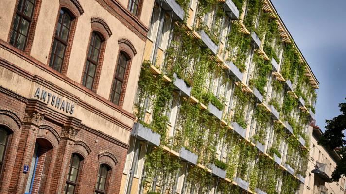 Vídeň investuje do zelených fasád