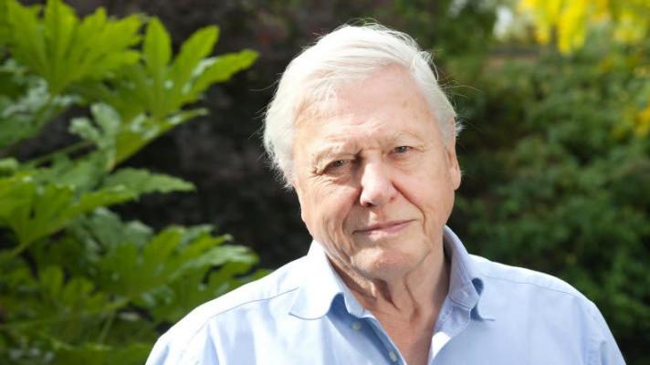 Attenborough: V boji za klima jsme v krizovém momentu