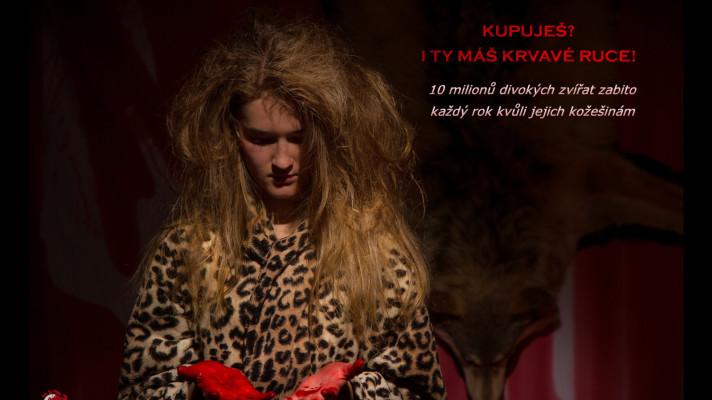 Zoo Praha se zapojila do kampaně Ukradená divočina! Zoo Praha se zapojila do kampaně Ukradená divočina!