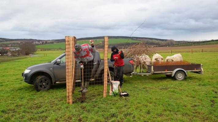 Malými krůčky k velkému výsledku - jak jsme díky programu NET4GAS Blíž přírodě podpořili přírodu Malými krůčky k velkému výsledku - jak jsme díky programu NET4GAS Blíž přírodě podpořili přírodu