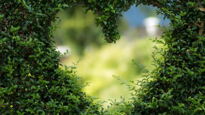 Nové výrobky s evropskou ekoznačkou Nové výrobky s evropskou ekoznačkou